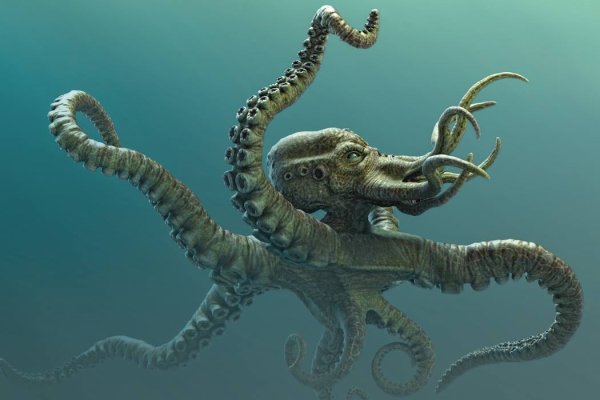 Hydra kraken